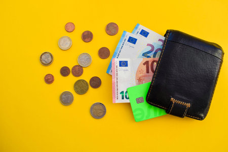 Leather Wallet with Euro Banknotes and Credit Card