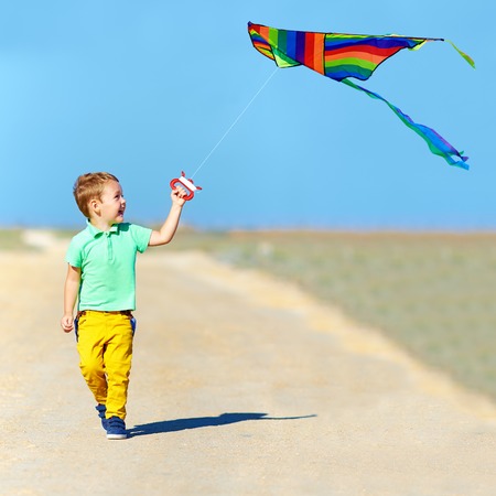 laughing boy playing with kite on summer fieldの写真素材