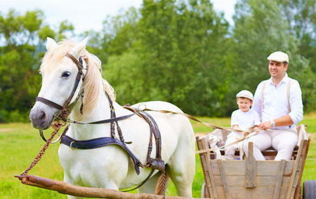 farmer family riding a horse cart  focus on horseの写真素材