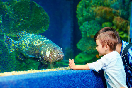 happy kid communicating with fish in oceanariumの写真素材
