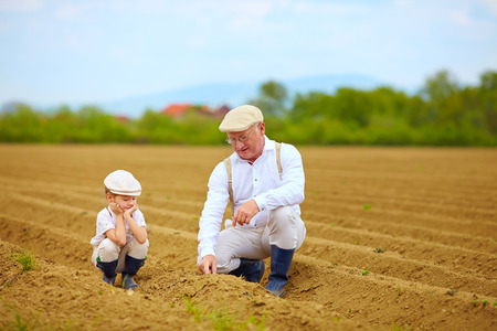 Grandpa explaining his grandson the way plants are growの写真素材