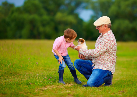 grandpa presenting little puppy to grandson, playing with dogの写真素材