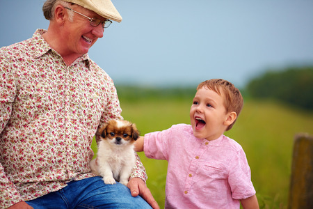 grandpa and grandson playing with little puppy, summer outdoorsの写真素材