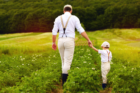 father and son farmers walking along the potatoes rows among green fieldsの写真素材