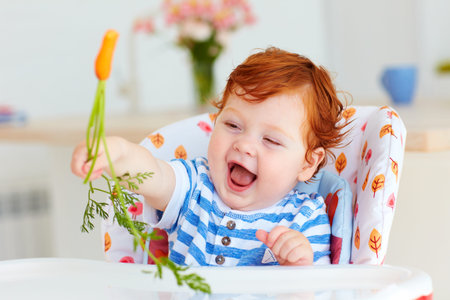 happy infant baby eating fresh carrot while sitting in high chair on the kitchenの写真素材
