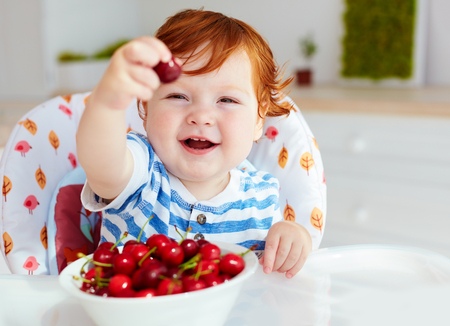 cute ginger baby boy sitting in highchair and tasting ripe cherriesの写真素材
