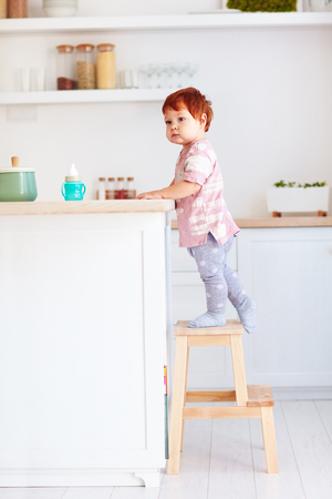 cute toddler baby climbs on step stool, trying to reach things on the high desk on the kitchenの写真素材