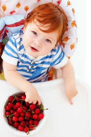 cute redhead infant baby tasting sweet cherries while sitting in highchair on the kitchenの写真素材