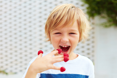 delighted kid, boy tasting ripe and fresh raspberries from his fingersの写真素材