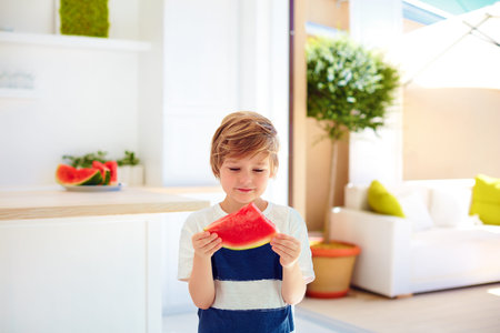 cute young boy, kid eating a piece of ripe watermelon at home kitchenの写真素材