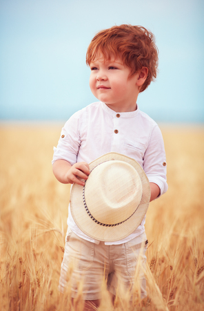 cute redhead, two years old baby boy walking through the field of ripe wheatの写真素材