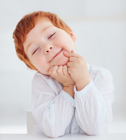 sincere portrait of cute redhead toddler baby boyの写真素材