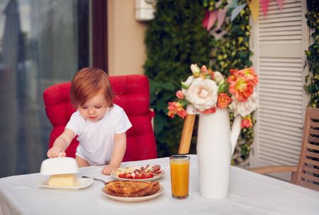 curious redhead baby girl exploring dishes on breakfast table at the patioの写真素材