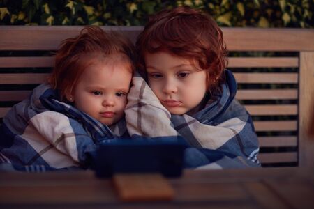 cute toddler siblings covered in blanket, watching cartoons on the phone at summer eveningの写真素材