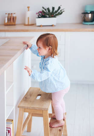 curious infant baby girl trying to reach things on the table in the kitchen with the help of step stoolの写真素材