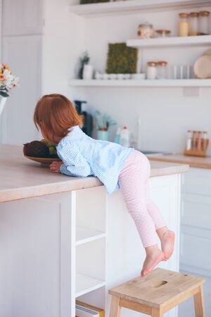 curious infant baby girl climbing up the step stool, trying to reach things on the table in the kitchenの写真素材