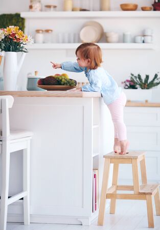 curious infant baby girl trying to reach things on the table in the kitchen with the help of step stoolの写真素材