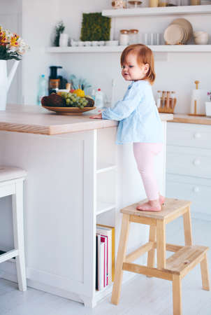 funny infant baby girl standing on a step stool at the cozy kitchen at homeの写真素材
