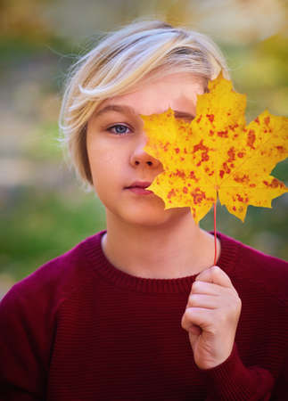 young blond boy with vibrant maple leaf in autumn parkの写真素材