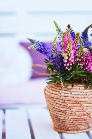 lupine flower bouqet in wicker vase on the wooden pallet furniture at summer patioの写真素材