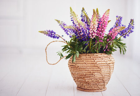 lupine flower bouquet in wicker vase on white backgroundの写真素材