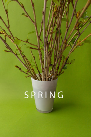 Composition in the style of minimalism. Green branches of spring greens in a white glass on a green...
