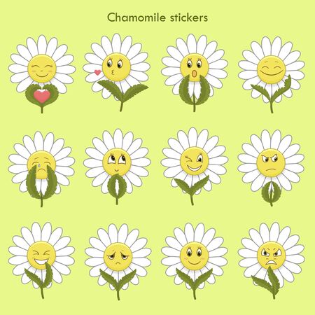 Cute gentle emotional chamomiles.のイラスト素材