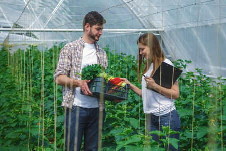 A young man holding a box of vegetables.  A girl examines vegetablesの写真素材