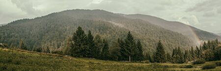 Shot of a rainbow over a mountain forestの写真素材
