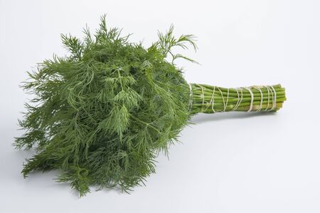 Bunch of dill on a light background.Studio photography on a light background.の写真素材