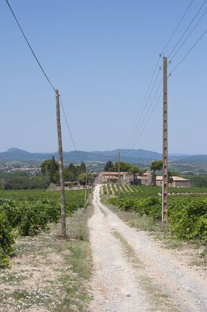 Rural dirt road among grape land.
Shooting in the summer of 2014. France, in the Languedoc.の写真素材