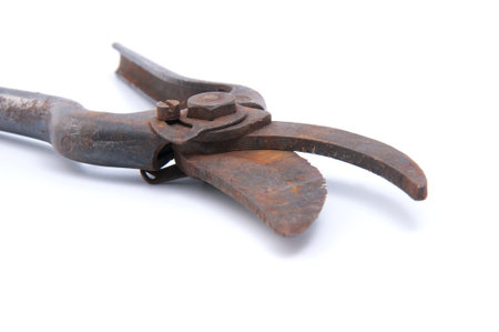 Old rusty pruning shears.Studio photography on a white background.