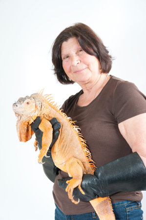 Elderly woman with iguana on his hands.Studio photography on a light gray background.の写真素材