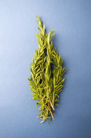 Fresh Rosemary on a light blue textured textured background.
の写真素材