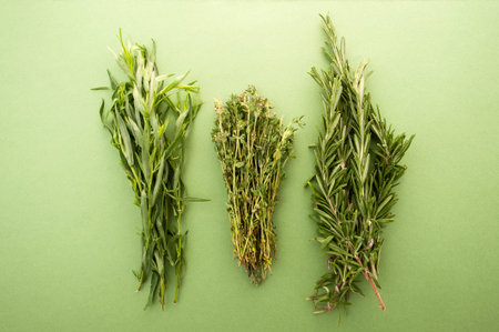 Tarragon, thyme and rosemary on a green pastel background.