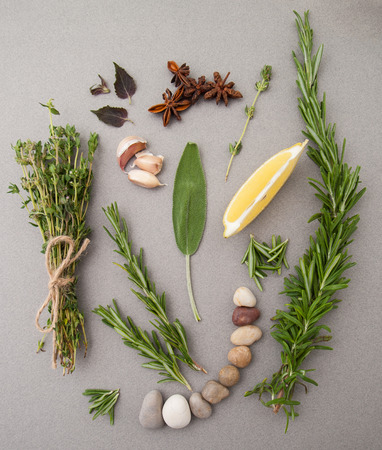 Various spicy herbs on a gray table.
の写真素材