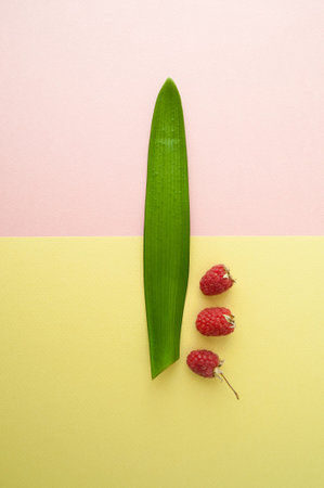 One raspberry and a leaf of a tropical plant on a pastel yellow-green background.