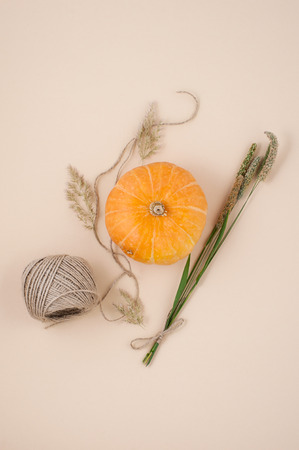 Orange pumpkin close-up on a light pastel background, decorated with dry herbs and a hank of twine.の写真素材