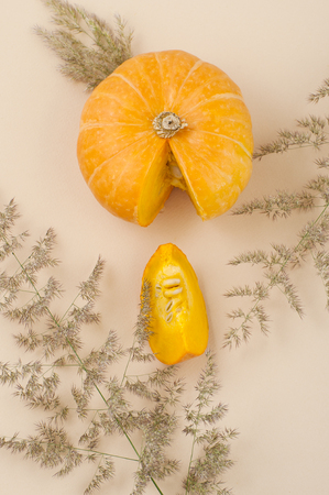 Young fresh pumpkin close-up on orange pastel background, decorated with dry herbs.の写真素材