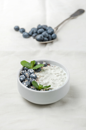 Cottage cheese with fresh blueberries and mint leaves on a white fabric background.
の写真素材
