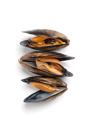 Three fresh mussels close-up on a white background. Isolated.の写真素材