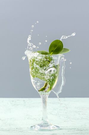 Green leaves in a glass with a splash of water on a light gray background.の写真素材