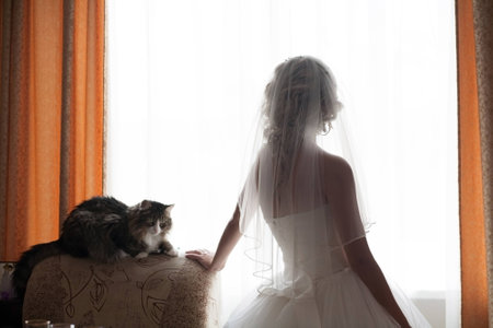 Beautiful bride in white wedding dress  looking in window with catの写真素材