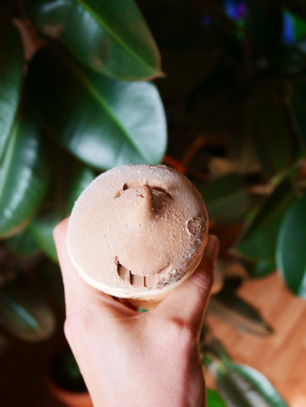 Delicious chocolate ice cream cone delightの写真素材