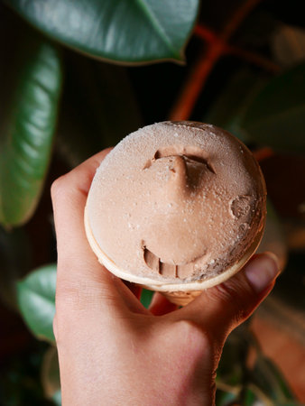 Delicious chocolate ice cream cone delightの写真素材