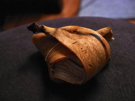 Overripe banana peel on fabric surfaceの写真素材