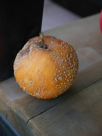 Moldy Apple on Wood: Nature's Decomposition Process