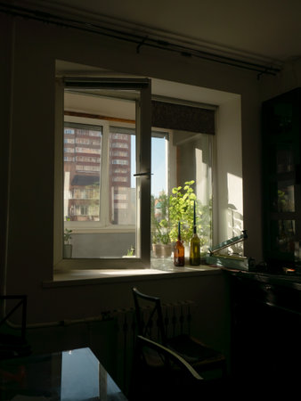 Sunny Window View with Plants and Urban Buildingの写真素材