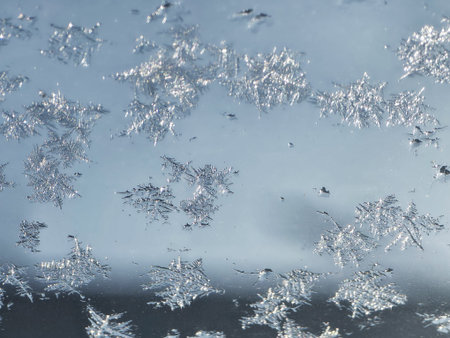 Shimmering Frost Patterns on a Cold Winter Window
