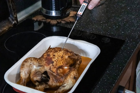 Man checking temperature of roasted chicken in oven dish. Cooking food safety concept for thanksgiving or Christmas dinner. Home kitchen.の写真素材